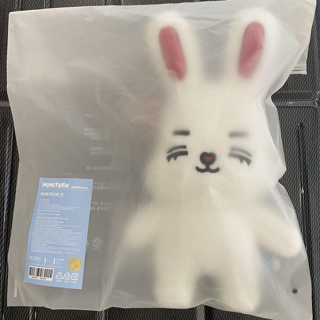 

[Б/У] MINITEEN Всплывающая плюшевая игрушка S.X.P. Семнадцать