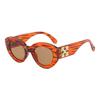 JYL TS Sunglasses Cat Eye Large Frame UV Travel/WF1209