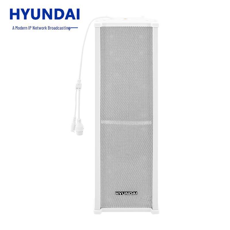 Hyundai IP Network Broadcasting Audio Systems CN plug (adapter included)