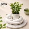 Mini Flower Pot Decor 3D Printed Succulents Planter, Creative with Artistic Sculptural Design, Desktop Plant Small Desk for Office Bedroom Shelf, Gift