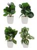 Small Artificial Plants For Decor Artificial Plants Artificial Potted Plants Compact Design Lifelike Appearance