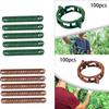 100 Pieces Plant Clips Vines Fixing Clips Plant Growth Clamps Plant Vine Clips for Peppers Cucumbers Roses Tomato Greenhouse
