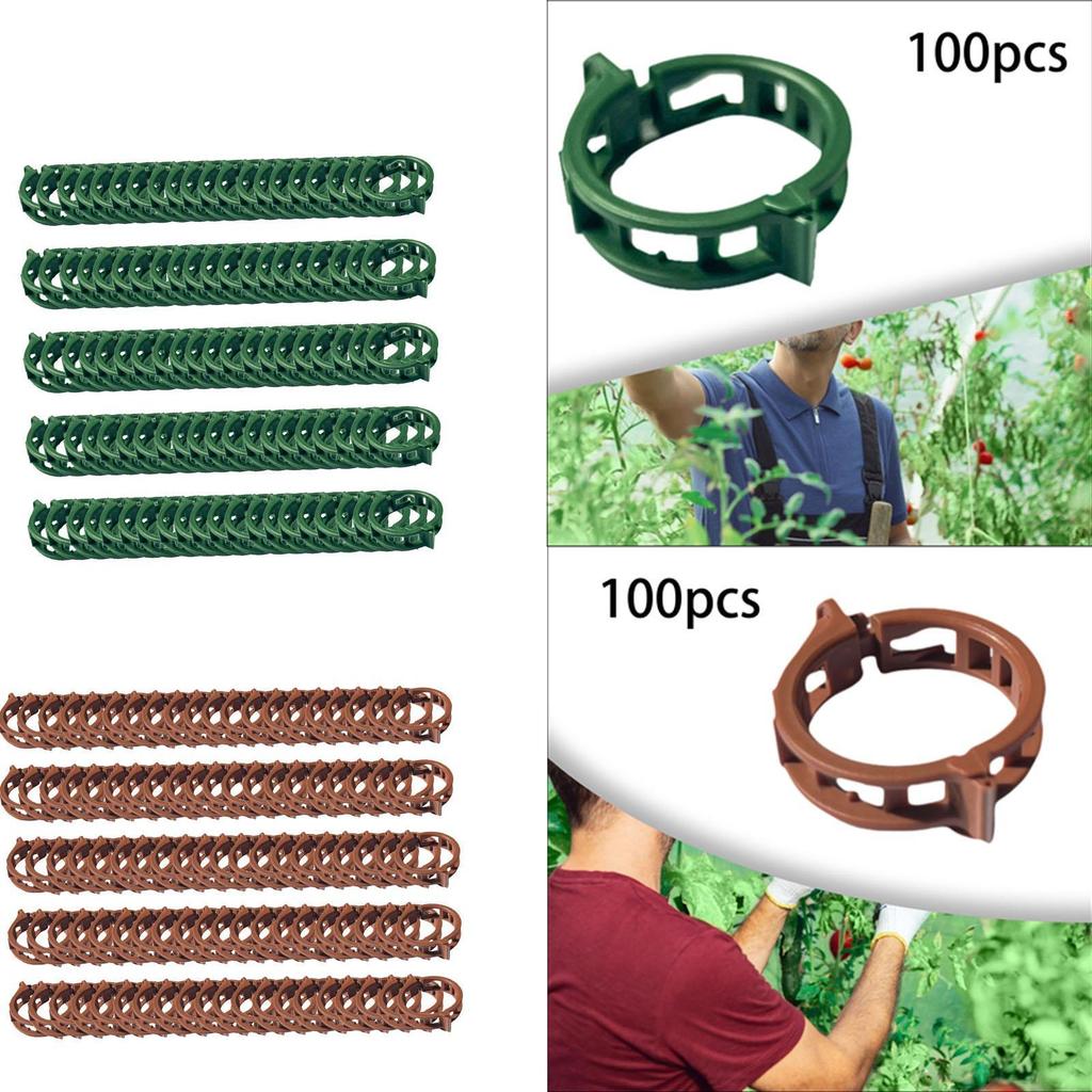 100 Pieces Plant Clips Vines Fixing Clips Plant Growth Clamps Plant Vine Clips for Peppers Cucumbers Roses Tomato Greenhouse