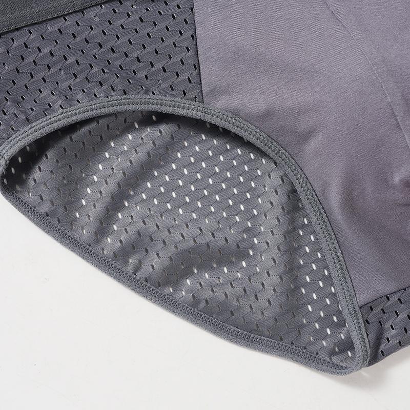 Men's Breifs Panties Boxers Male Hombre Breathable Mesh Ice Silk Men's Intimate Underpants Men Solid Color Underwear