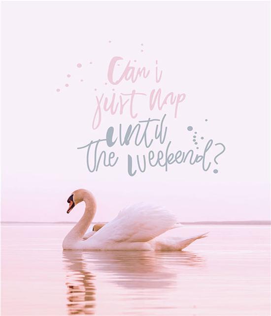 

Ruopoty картина маслом по номерам Приморская настенная живопись на холсте рисунок уникальный подарок картина по номерам пейзаж декор детской комнаты 40x50cm NO Frame