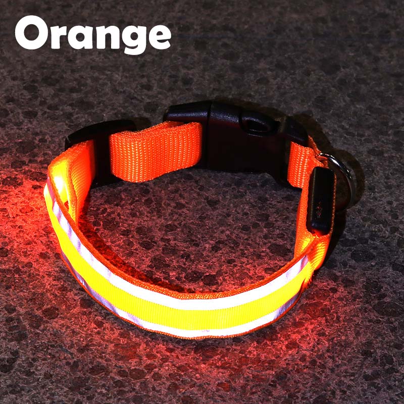 Buy AntiLost LED Illuminated Dog Collar Pet Products Walking Dog at