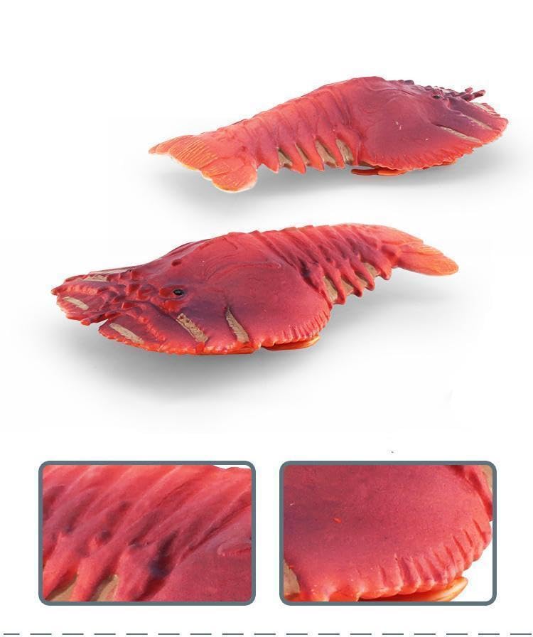 [Nekogamiyama] Fan Shrimp Crustacean Figurine Model Miniature Ornament Decor Collector's Model