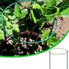 Horticultural Plant Holder Ring Holder Garden Plant Holder Gardening Tool