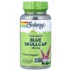 Solaray True Herbs Blue Skullcap 425mg Veggie Capsules, 100 Count