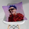 Rapper RRauw Alejandro Verschiedene Größen Quadratische Kissenhülle Für Auto Haus Schlafzimmer Dekoration Geburtstagsgeschenk