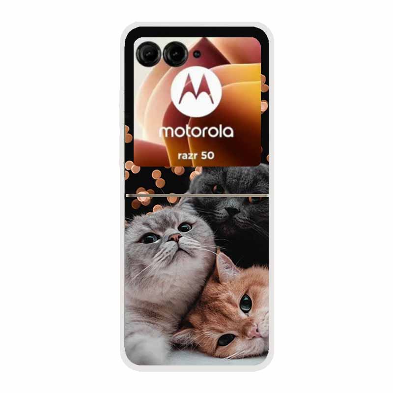 For Motorola Razr 50 Ultra Case Plastic Hard Painted Cartoon Transparent Back Cover Case for Motorola Razr 50 5G Hard PC Case 50