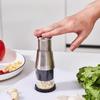 Paipai Dao Kitchen Stainless Steel Garlic Paste Magic Tool, Special Garlic Pounding Machine, Multi-functional Manual Garlic Press