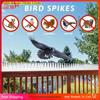 2pcs Wall Fence Deterrent Defender Spikes For Anti Cat Climb Bird Animals High-quality Plastic Garden Adjustment Protection Tool