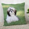 Fodera per cuscino per cane Shih Tzu Personalizza federa Moderna casa decorativa federa per soggiorno