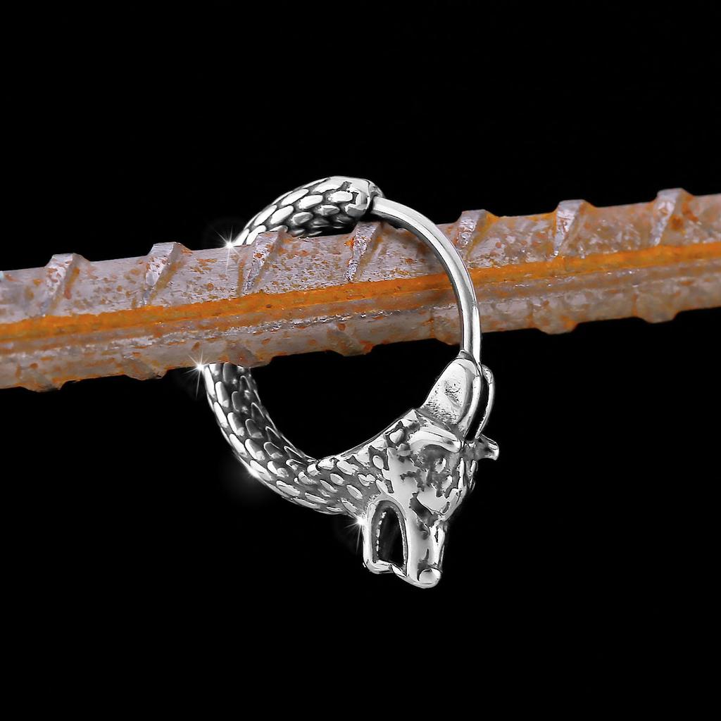 New Design Creative Nordic Stainless Steel Vintage Viking Earrings Fashion Teen Animal Amulet Jewelry Studs Gift