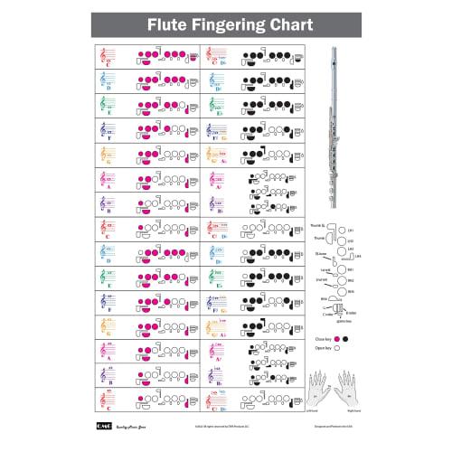 Flute Instructions, Color-Coded Notebook, Flute Technique, All Levels, Made in the USA
