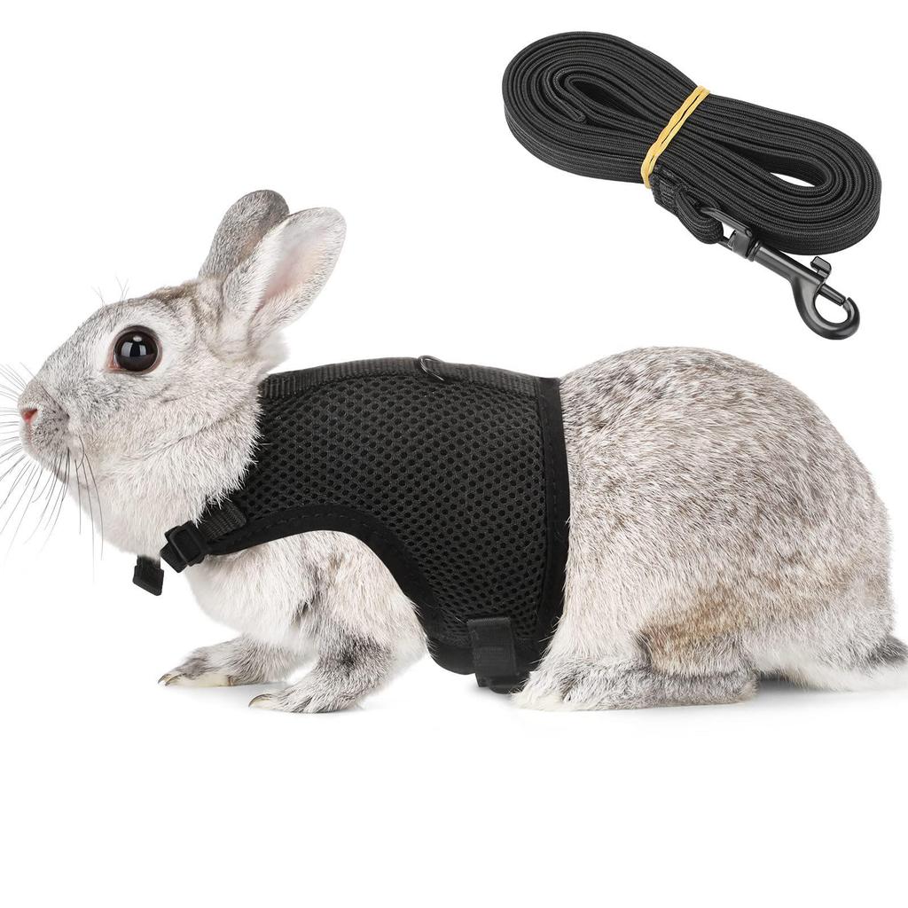 Breathable Mesh Rabbit & Small Dog Chest Harness with Leash
