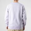 Converse Sweatshirts Men's Light Purple Crew Neck Thickened Regular 10021636-A04