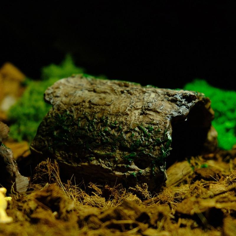 Fische und Reptilien Verstecke Höhle Baumloch Harz Baumstumpf Aquarien Terrarium Dekoration Aquarien Landschaftsgestaltungszubehör