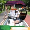 Removable Electric Vehicle Rain Canopy