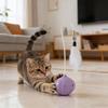 Tumbler Electric Cat Teasing Stick Concealed Safe Red Lasers Hanging Feathers 360 Degree Rocking Toy Relieves Anxiety Cat Toy