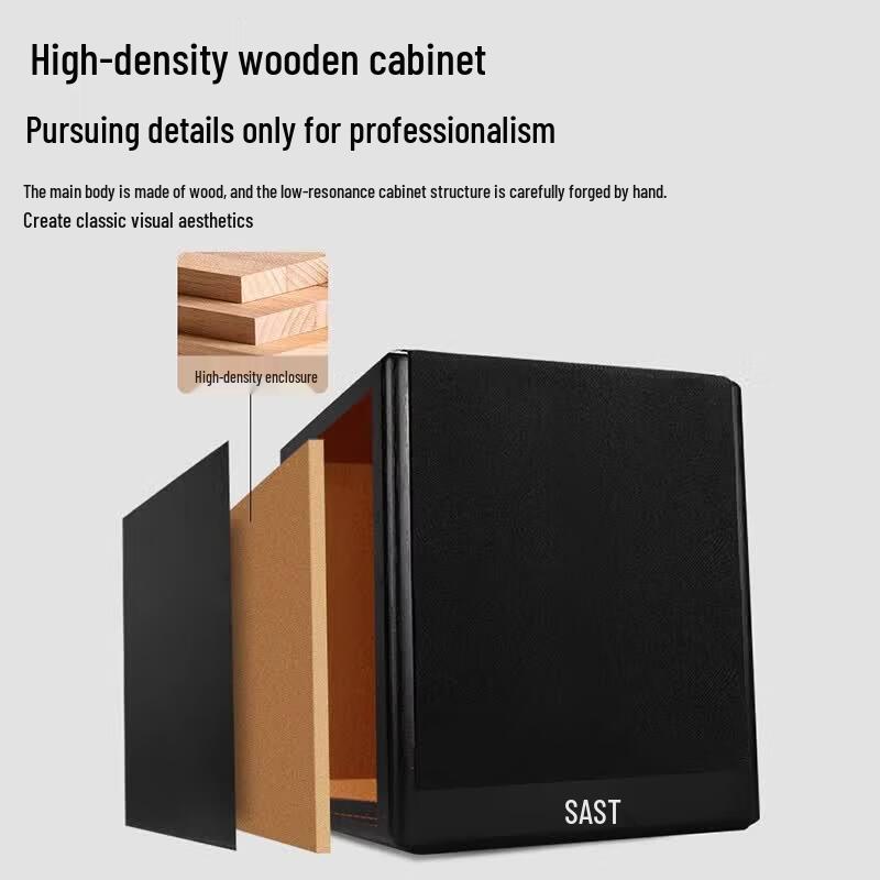 SAST A11 Home KTV Audio System (CN version)