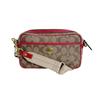Coach Mini Shoulder Cross Body Sling Bag Shoulder Bag Leather Beige Women 11355 Used