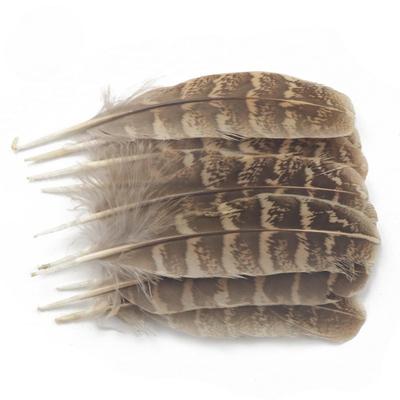 10Pcsdiy Craft Feather Pheasant Hair Mother Chicken Nest Feather Jewelry Accessories Performance Accessories Headgear Hair Accessories Hair