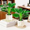 M-Mini Self Watering Flower Pot Fish Tank Plastic Plant Pots Self Watering Planter Pot Vase For Home Decoration