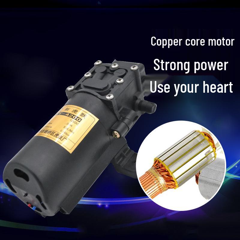 12V High-Pressure Self-Priming Agricultural Electric Diaphragm Sprayer Pump