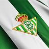 Temporada 03-04 La Liga Betis camiseta de fútbol retro antigua de local, réplica No. 17 Camiseta de Joaquín