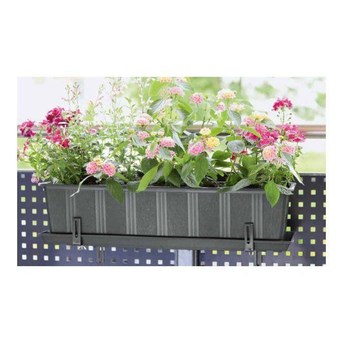 Balcony Planter 60 Cm Anthracite In Plastic