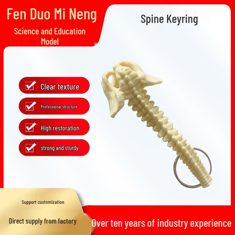 Portable Human Spine Model Keychain - Creative Small Skeleton for Biology Teaching