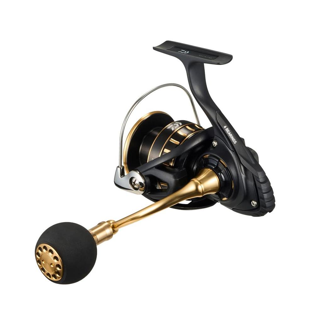 Daiwa Shore Jigging Spinning snelle 23BG SW 4000D-CXH