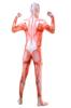 Attack on Titan Colossal Titan Full Body Zentai Cosplay Skin Tights Halloween Costume [kitamurasyokai] Costume, (L)
