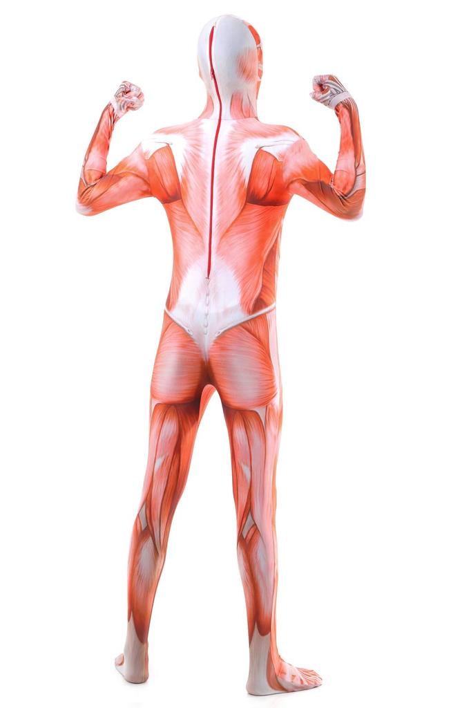 Attack on Titan Colossal Titan Full Body Zentai Cosplay Skin Tights Halloween Costume [kitamurasyokai] Costume, (L)