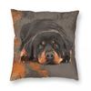Cute Rottweiler Metzgerhund Square Pillowcase Polyester Linen Velvet Pattern Zip Decorative Bed Cushion Cover