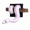 Scultura da Parete Serpente Decorazione Testurizzata con Supporto Pannello 3D per Collezionisti