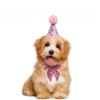Nuevo Estilo Set de Sombrero de Fiesta y Pajarita para Mascotas para Gatos y Perros