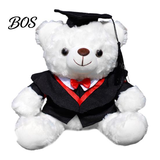 Luxury Gift Packaging Bear Personalized Graduation Gifts 2026 for Her, Cute Teddy with Embroidered Gown Award And Cap, Soft Plush Mascot College High