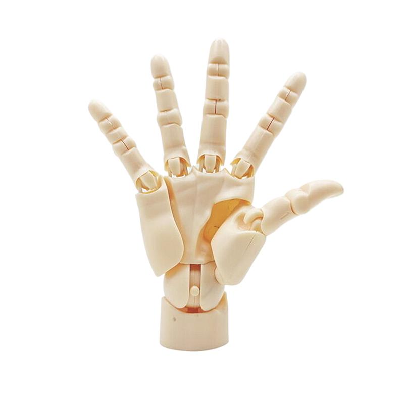 

Movable Joint Finger Gashapon 1/2 Hand Model 1:1 Palm Painting Art Miniature Model Reference Tool Hand Desktop Decoratoion