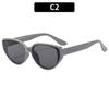 Fashionable Sunglasses Cat Eyes Sunglasses Non-Polarized Fashion Accessory 