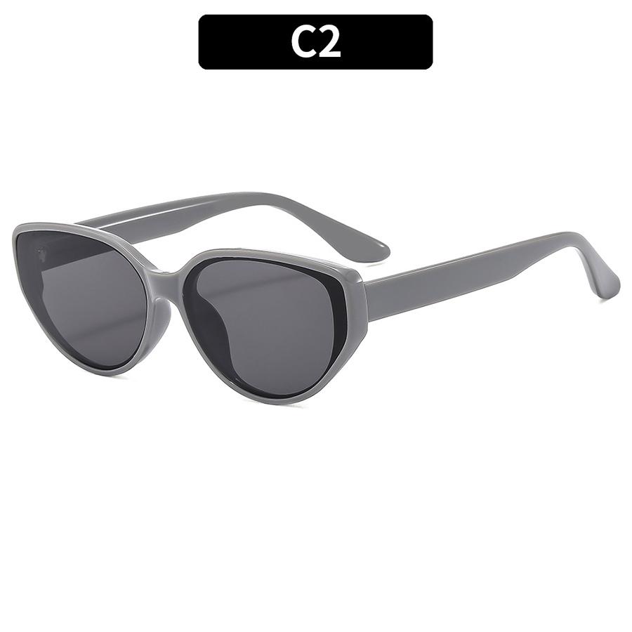 Fashionable Sunglasses Cat Eyes Sunglasses Non-Polarized Fashion Accessory 