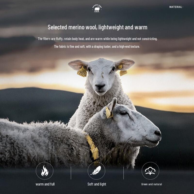 FIRS Men's 100% Merino Wool Faux Two-Piece Round Neck Sweater