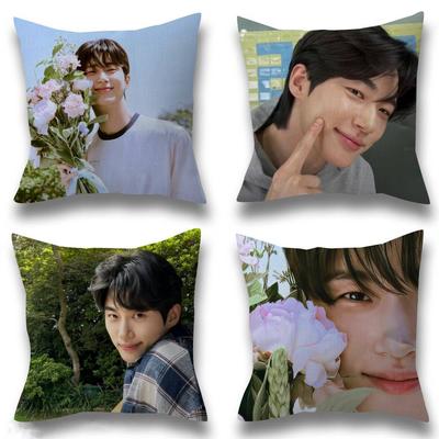 Célébrité coréenne Byeon Wooseok    Housse de coussin 45*45cm Housse de coussin Décoration Taie d'oreiller Taie d'oreiller pour la maison pour coussin de canapé
