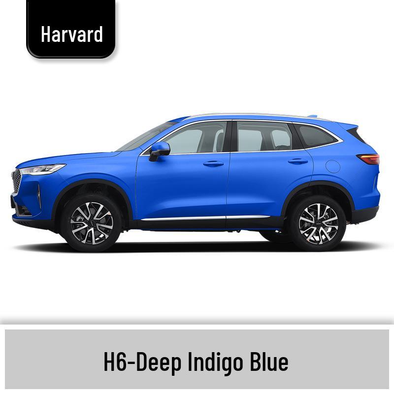 Haval H6 Cool Dog Touch-Up Pen, Black Spot & Ruixue White Scratch Repair Paint