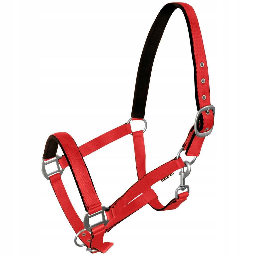 York Fluo halter for horses red COB