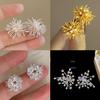 Zircon Metal Fireworks Earrings Korean Niche Cold Wind Earrings Temperament Versatile Earrings