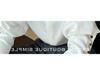 Women's High-End Satin Shirt with French Pointed Collar - Long Sleeve, Stylish Spring/Autumn Top
