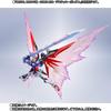 BANDAI METAL ROBOT Spirits SIDE MS Destiny Gundam exclusive light wings effect set &